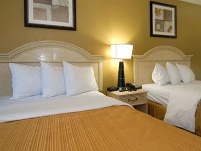 Econo Lodge San Antonio South Lodge *